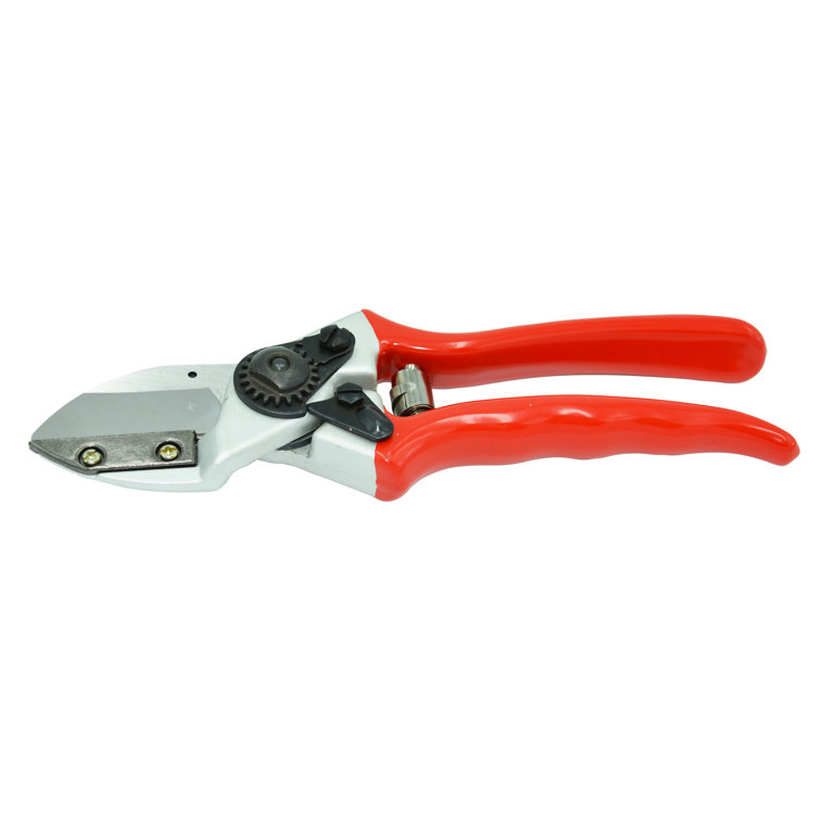 Zenport Anvil Professional Pruner Wayfair